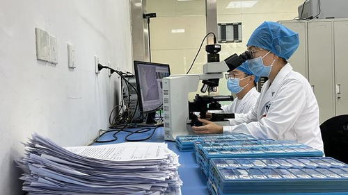 中医骨伤融合现代医技,共促医疗服务能力新提升