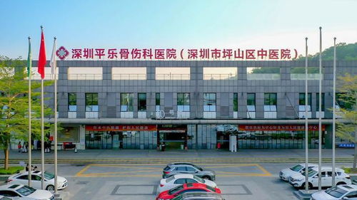 全国名中医来家门口看诊了 南京中医药大学黄煌经方团队落户深圳