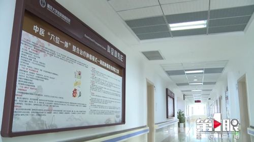 重庆已建300余个中医重点专科和特色专科