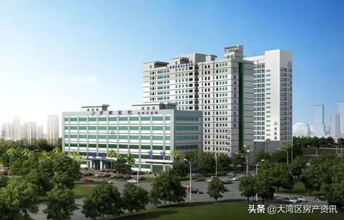 为何被众说纷纭 深圳 为何这么火爆 专业人士是这样说的
