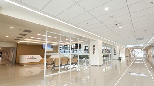 济宁国家区域医疗中心骨伤医院正式启用