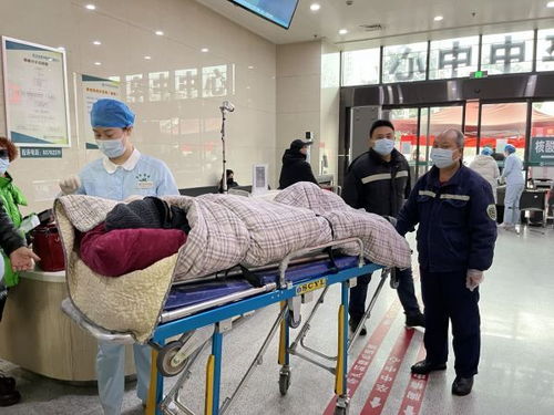 下雪天医院骨折病人增多，专家提醒 摔倒后别急着起身